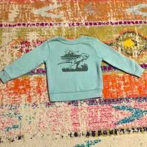 🧜🏼‍♀️3 for $15 item!🧜🏼‍♀️ T. rex dinosaur crew sweatshirt